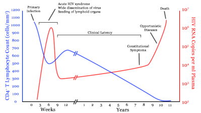 A generalized graph of the relationship between HIV copies (viral load) and CD4 counts over the average course of untreated HIV infection; any particular individuals' disease course may vary considerably.