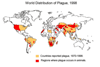 Worldwide distribution of plague infected animals 1998