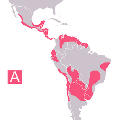 Chagas in Latin America (A:Endemic zones)