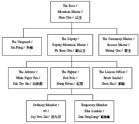 Triad Organizational Structure