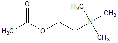 image:acetylcholine.png