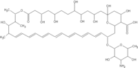 Amphotericin B chemical structure