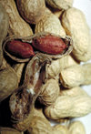 Peanuts are a common trigger of anaphylactic reactions.