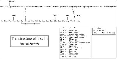 The primary structure of insulin i.e. amino acid sequence