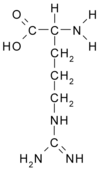 Chemical structure of Arginine