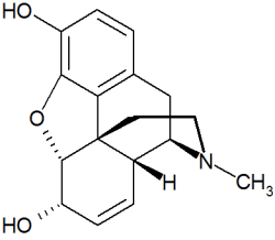 Molecular structure of morphine