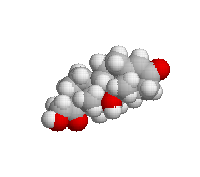 Hydrocortisone spacefill