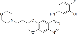 Molecular structure of gefitinib