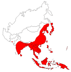 Red areas show the distribution of Japanese Enecphalitis in Asia 1970-1998