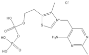 Thiamine pyrophosphate (TPP)